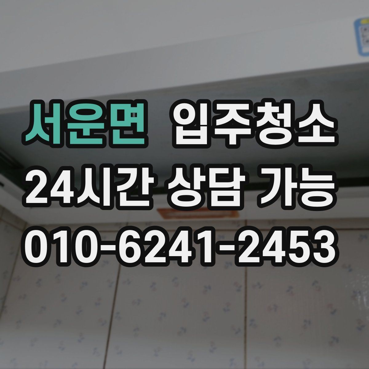 서운면 입주청소 반려동물과 함께 살 집 준비 팁