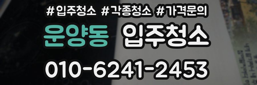 운양동 이사청소