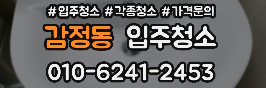 감정동 이사청소