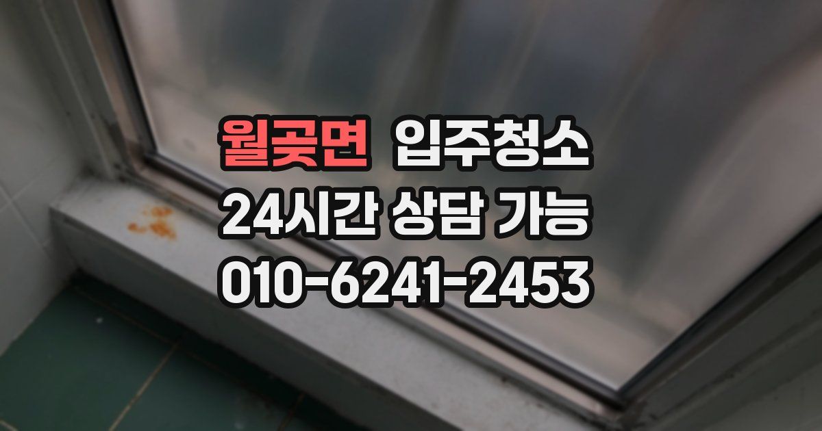 월곶면 입주청소