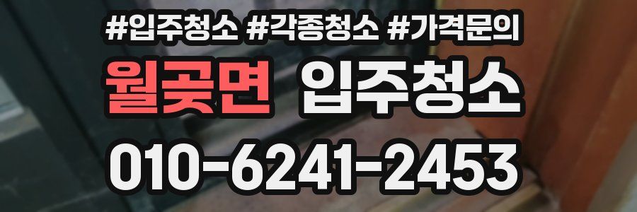 월곶면 이사청소