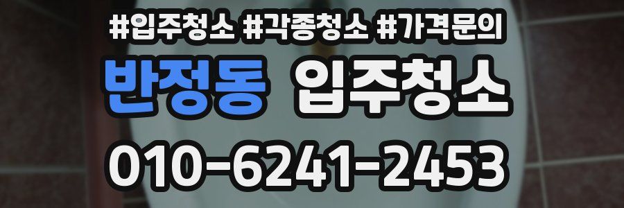 반정동 이사청소