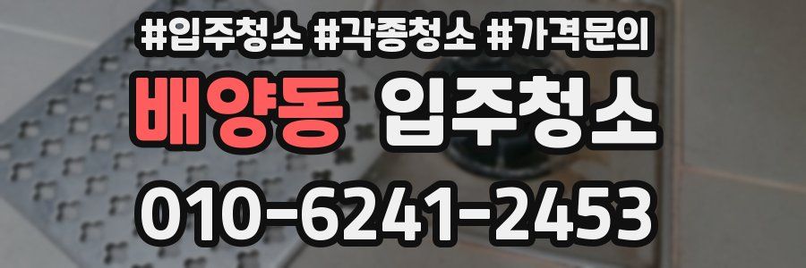 배양동 이사청소