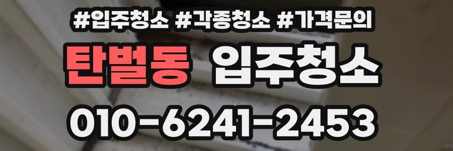 탄벌동 이사청소