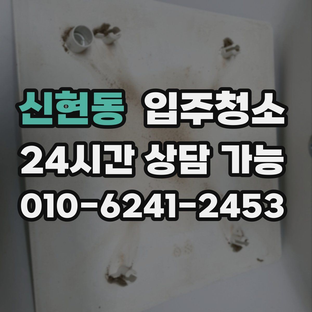 신현동 입주청소 부분 청소와 전체 청소 선택 기준