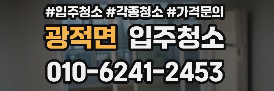 광적면 이사청소