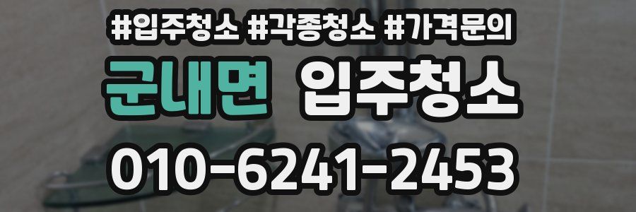 군내면 이사청소