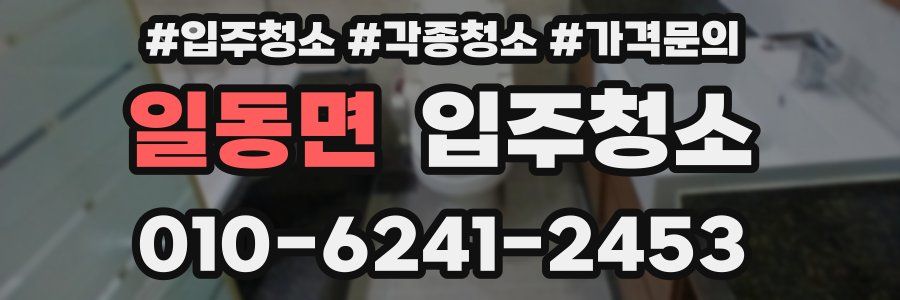 일동면 이사청소