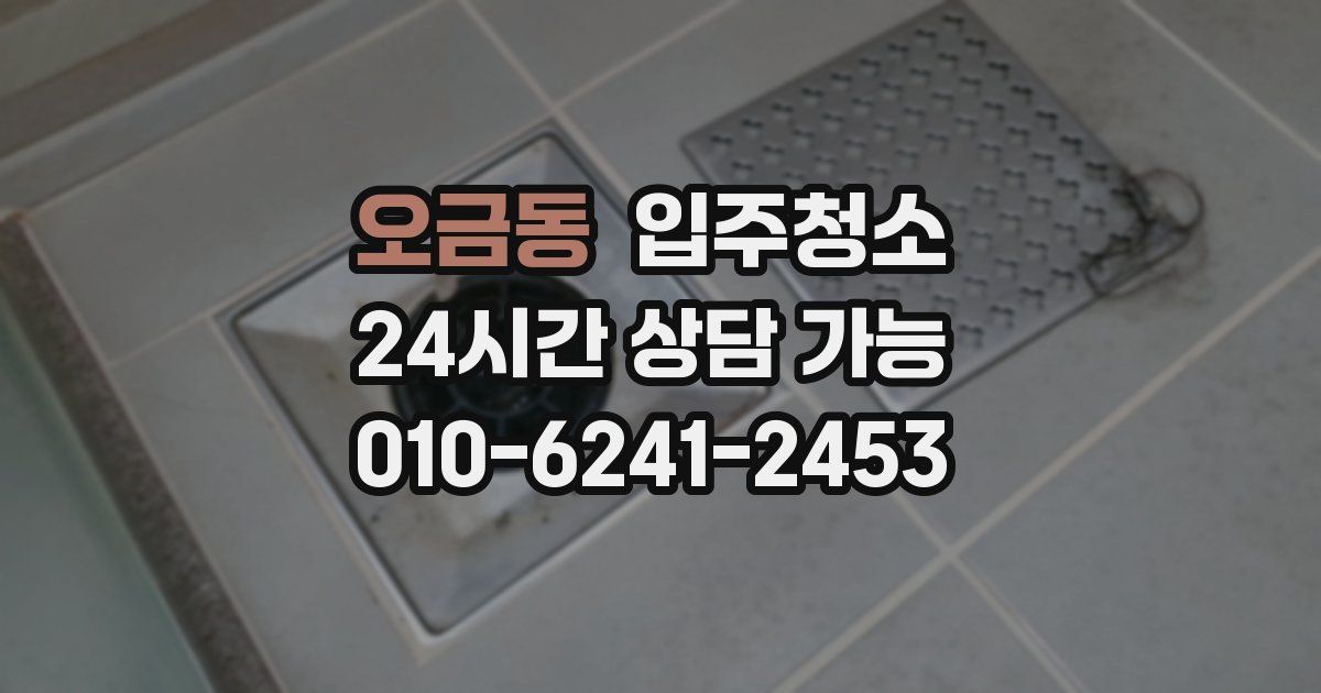 오금동 입주청소