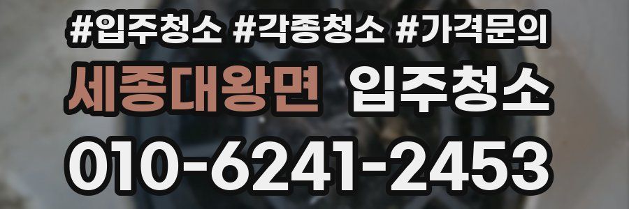 세종대왕면 이사청소