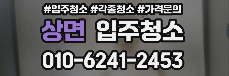 상면 이사청소