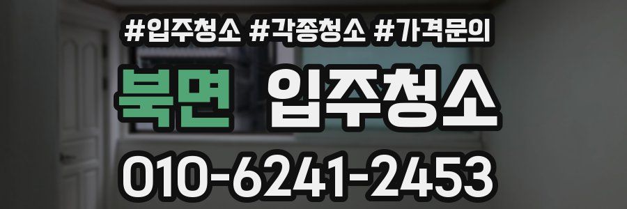 북면 이사청소