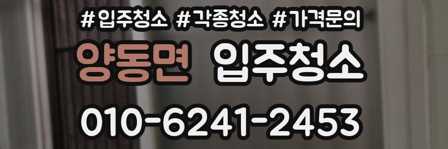 양동면 이사청소