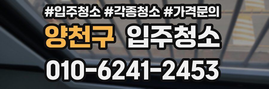 양천구 이사청소