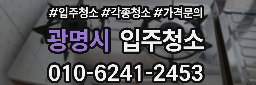 광명시 이사청소