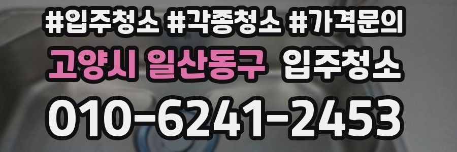 고양시 일산동구 이사청소