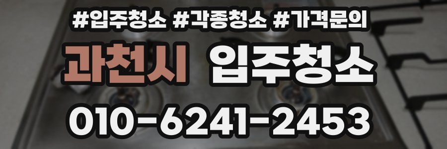 과천시 이사청소