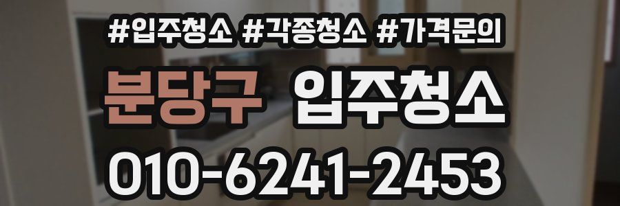 분당구 이사청소