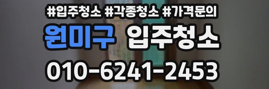 원미구 이사청소