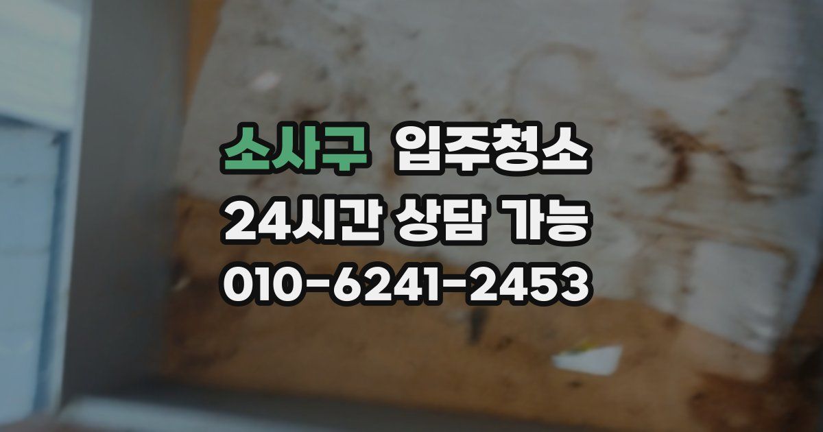 소사구 입주청소
