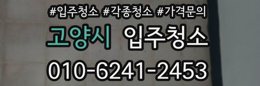 고양시 이사청소