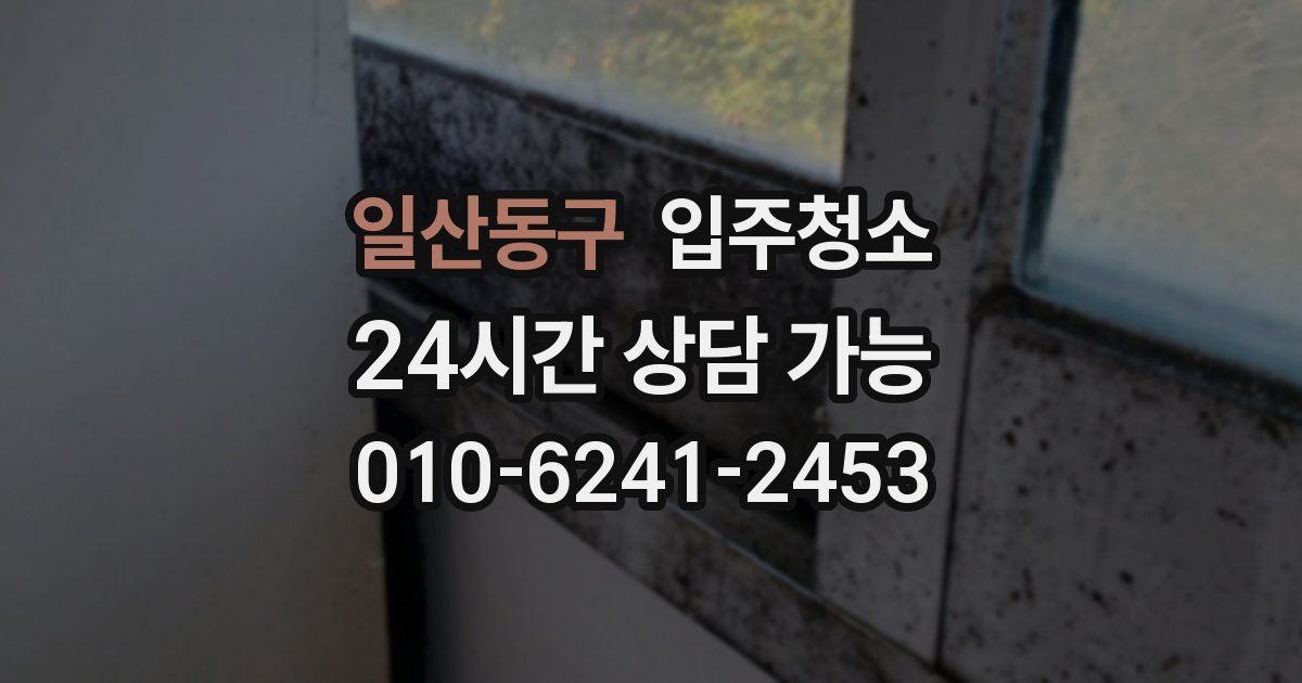 일산동구 입주청소