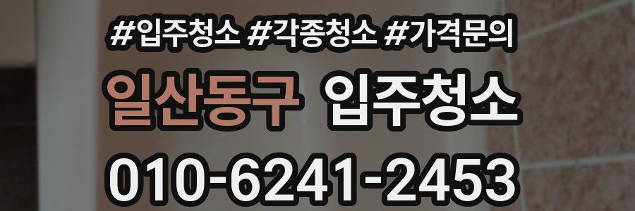 일산동구 이사청소