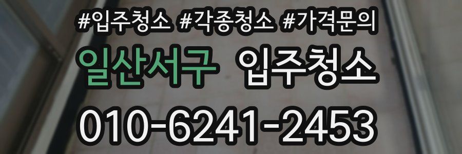 일산서구 이사청소