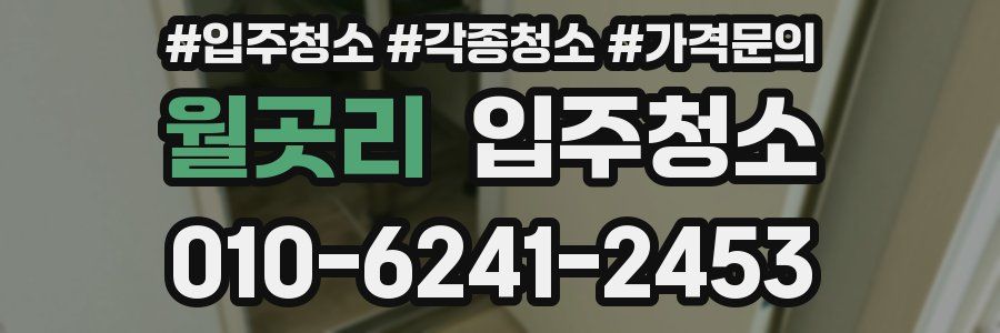 월곳리 이사청소