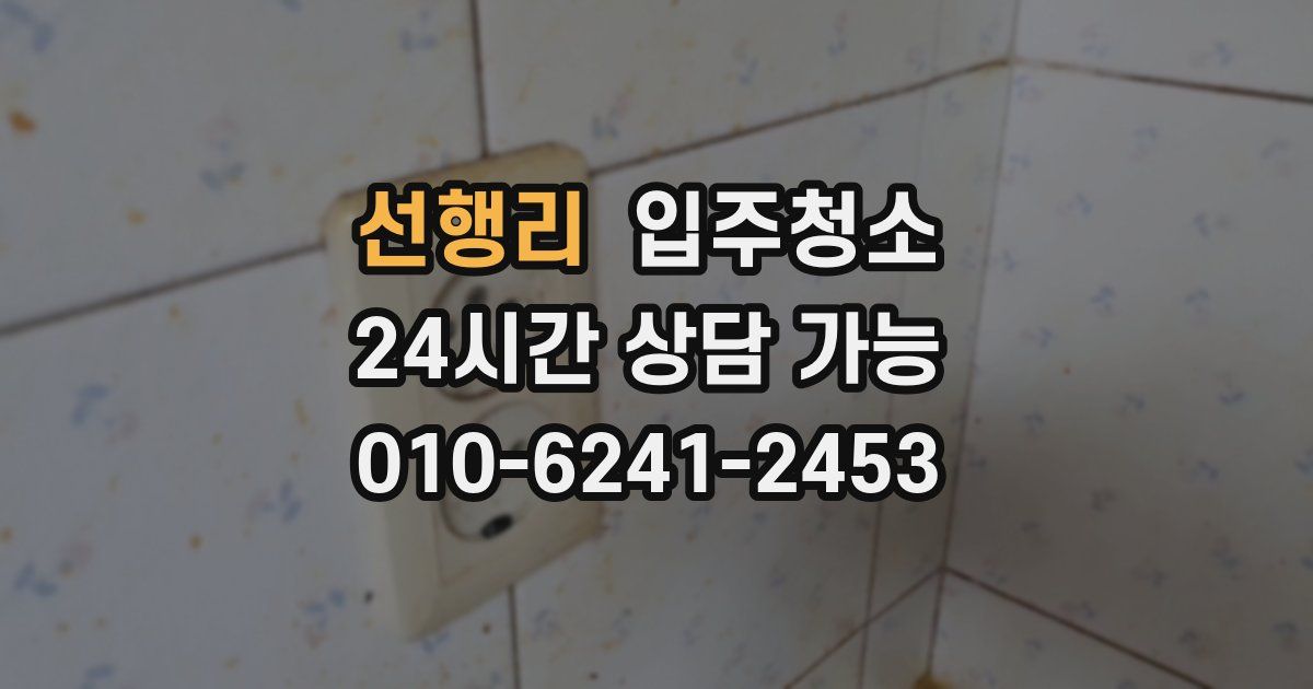 선행리 입주청소