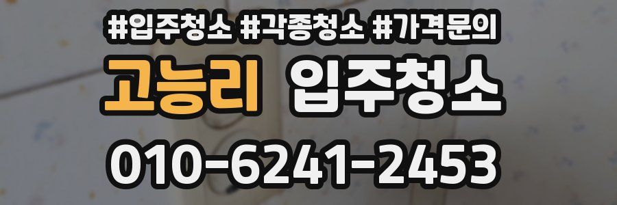 고능리 이사청소