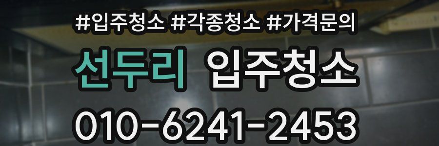 선두리 이사청소