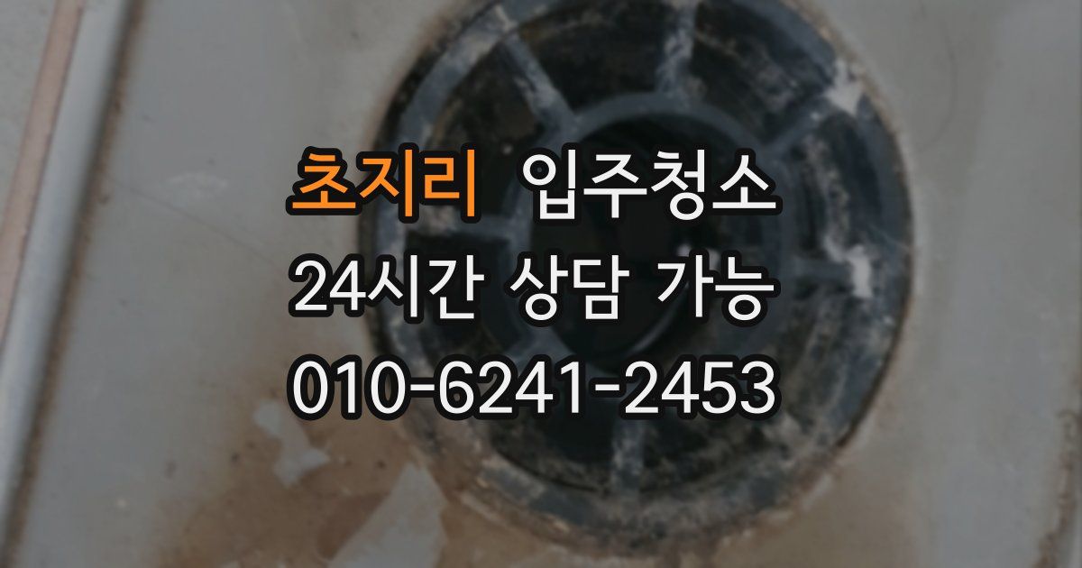 초지리 입주청소