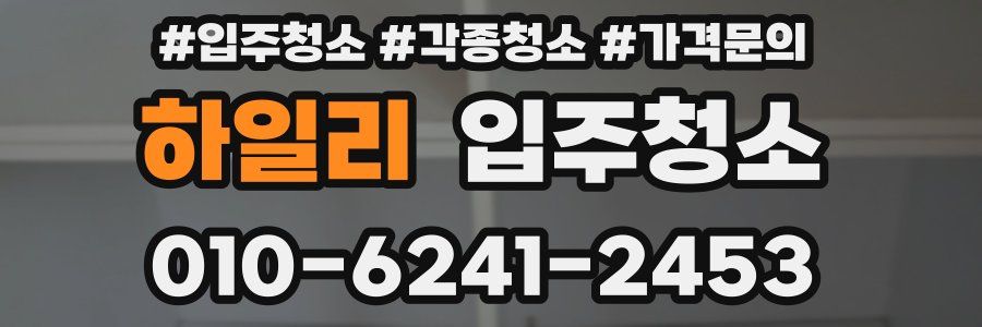 하일리 이사청소