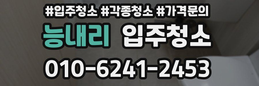 능내리 이사청소