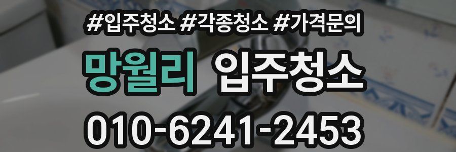 망월리 이사청소