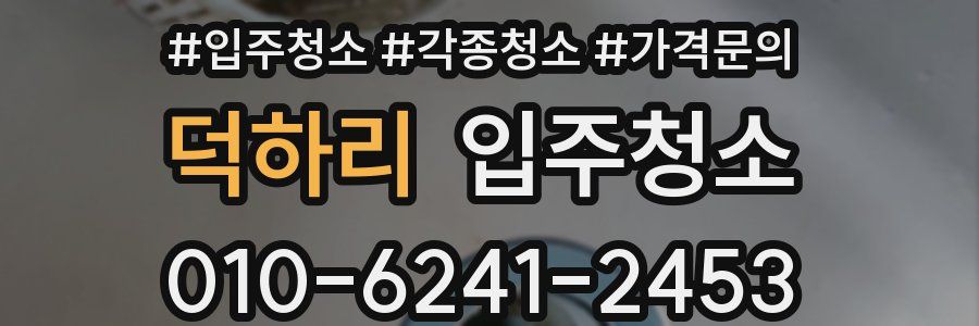 덕하리 이사청소