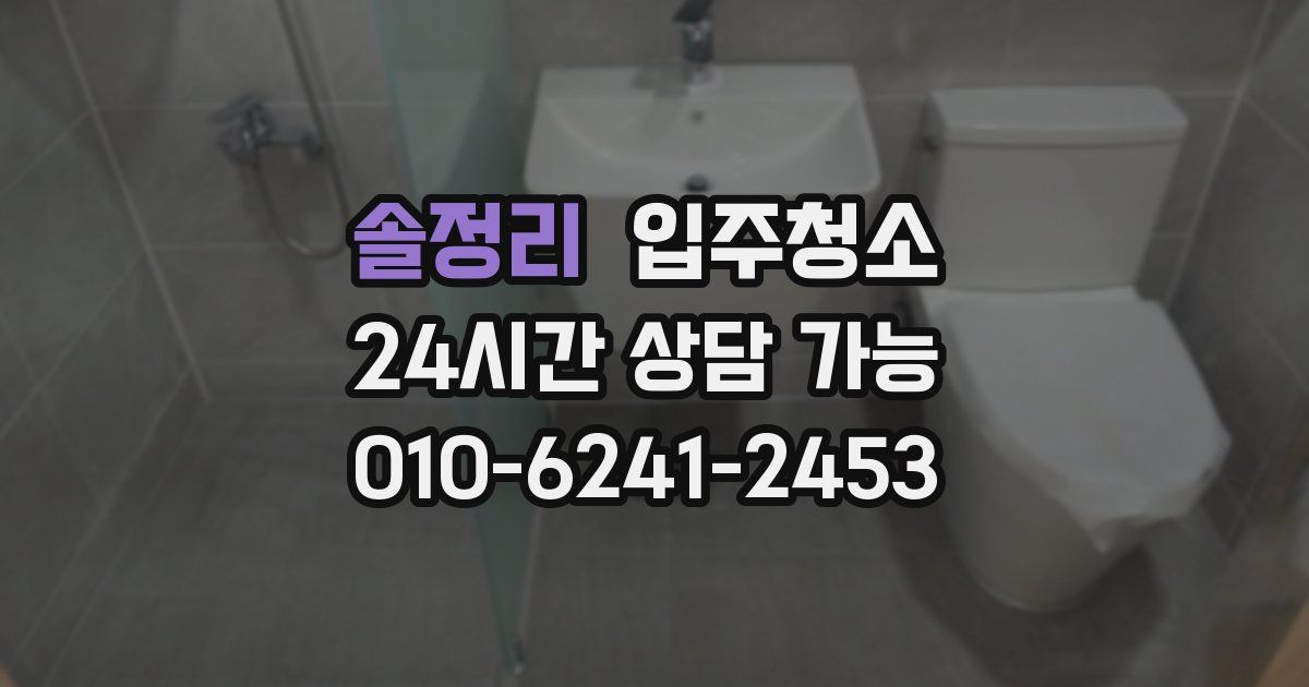 솔정리 입주청소