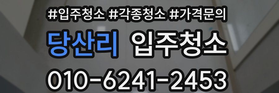 당산리 이사청소