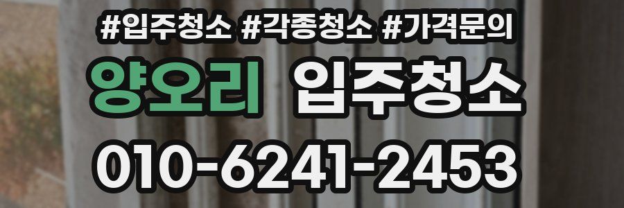 양오리 이사청소