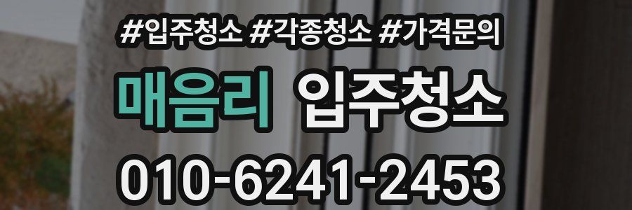 매음리 이사청소