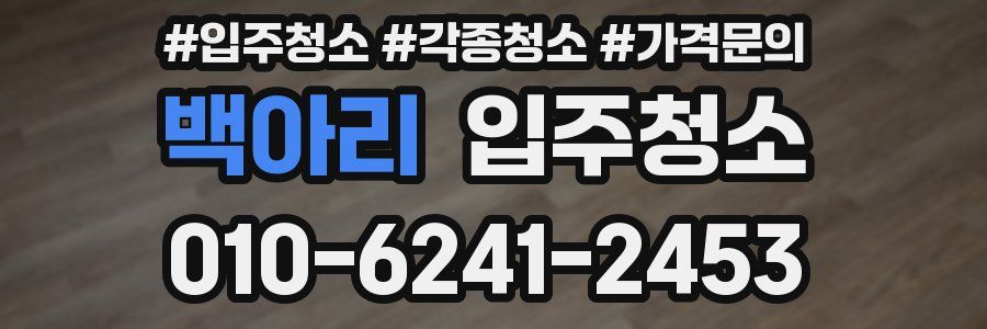 백아리 이사청소