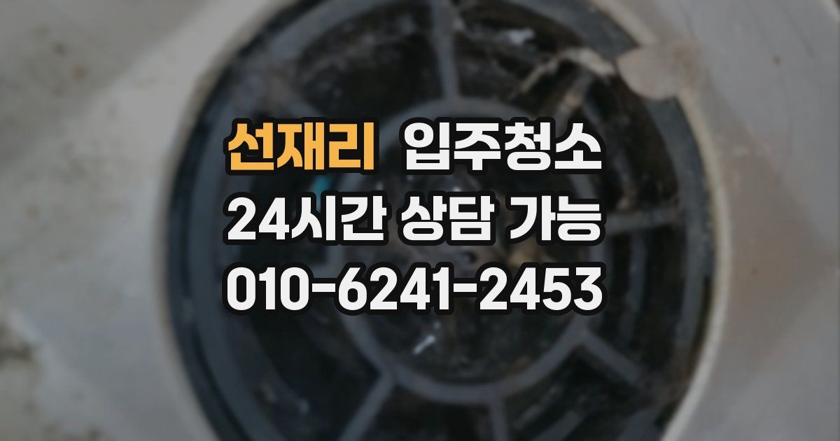 선재리 입주청소