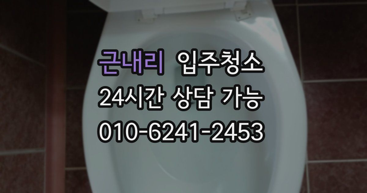 근내리 입주청소