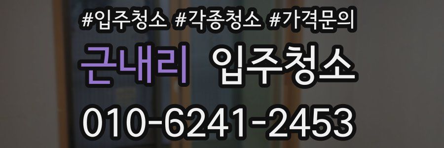 근내리 이사청소