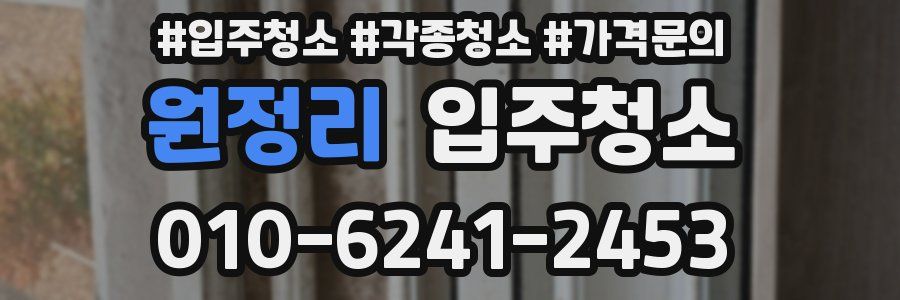 원정리 이사청소