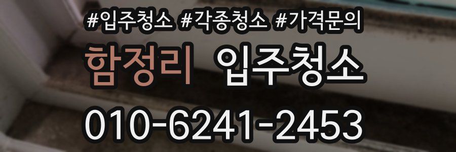 함정리 이사청소