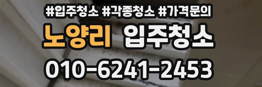 노양리 이사청소