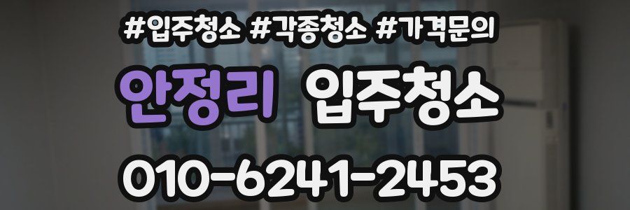 안정리 이사청소