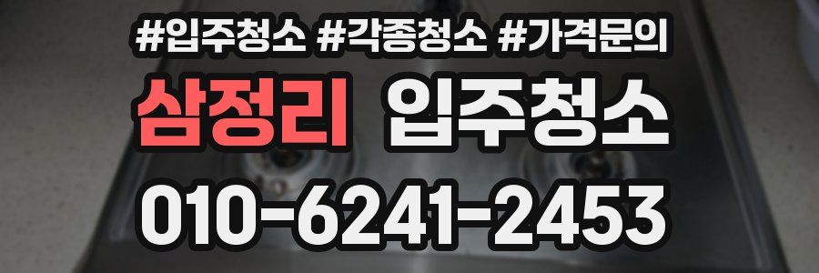삼정리 이사청소